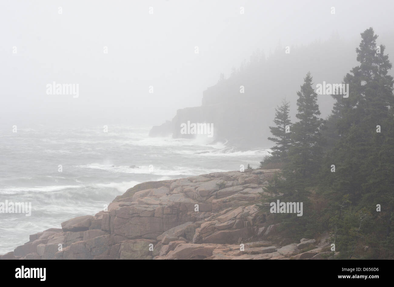 Wild Oceano Atlantico al Parco Nazionale di Acadia, Maine. Foto Stock
