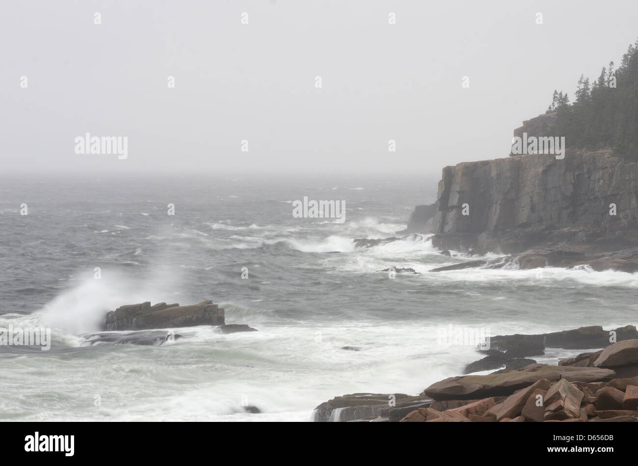 Wild Oceano Atlantico al Parco Nazionale di Acadia, Maine. Foto Stock