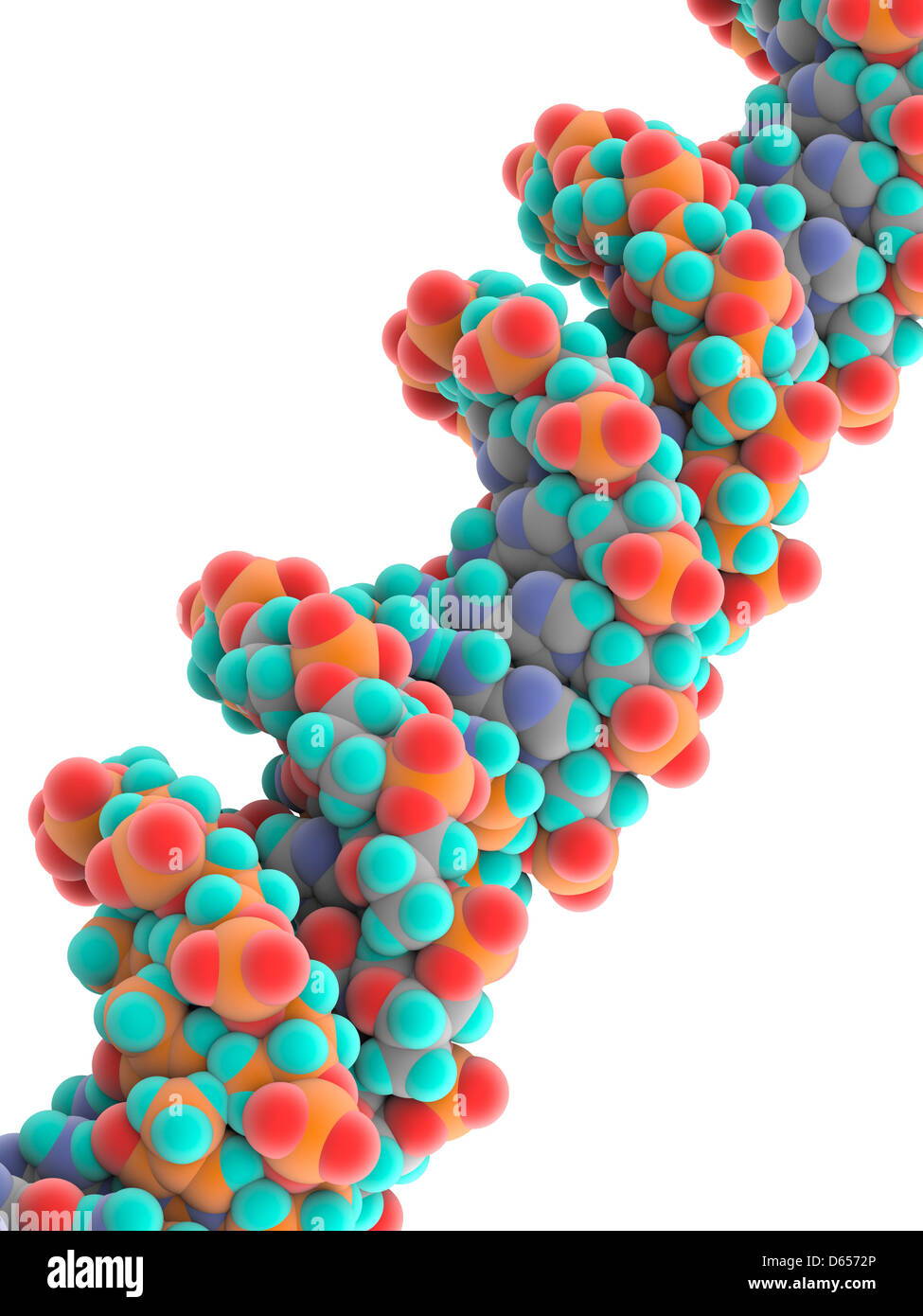 Molecola del DNA Foto Stock
