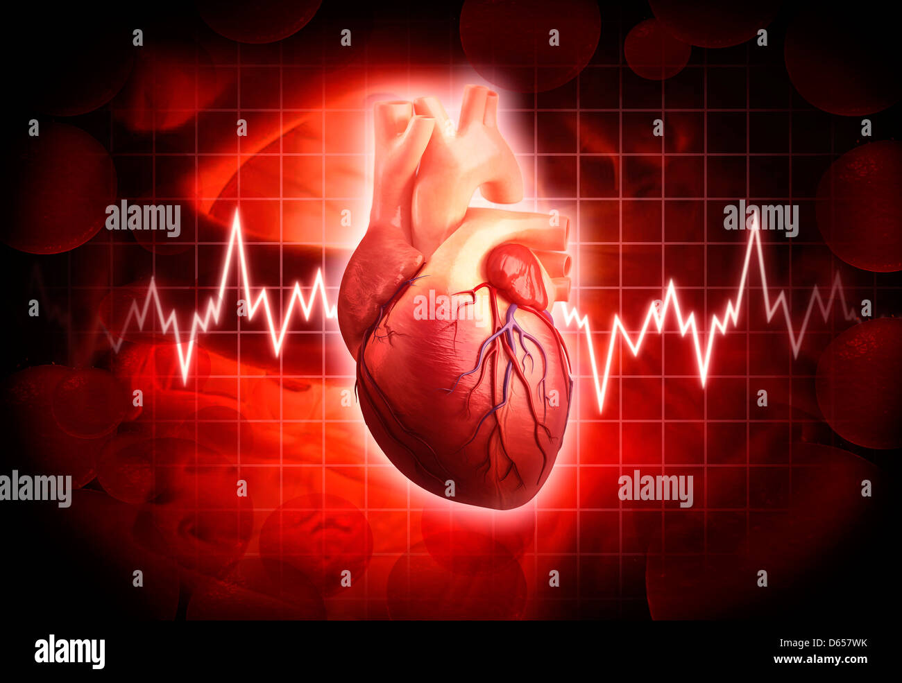 Il cuore umano, artwork Foto Stock