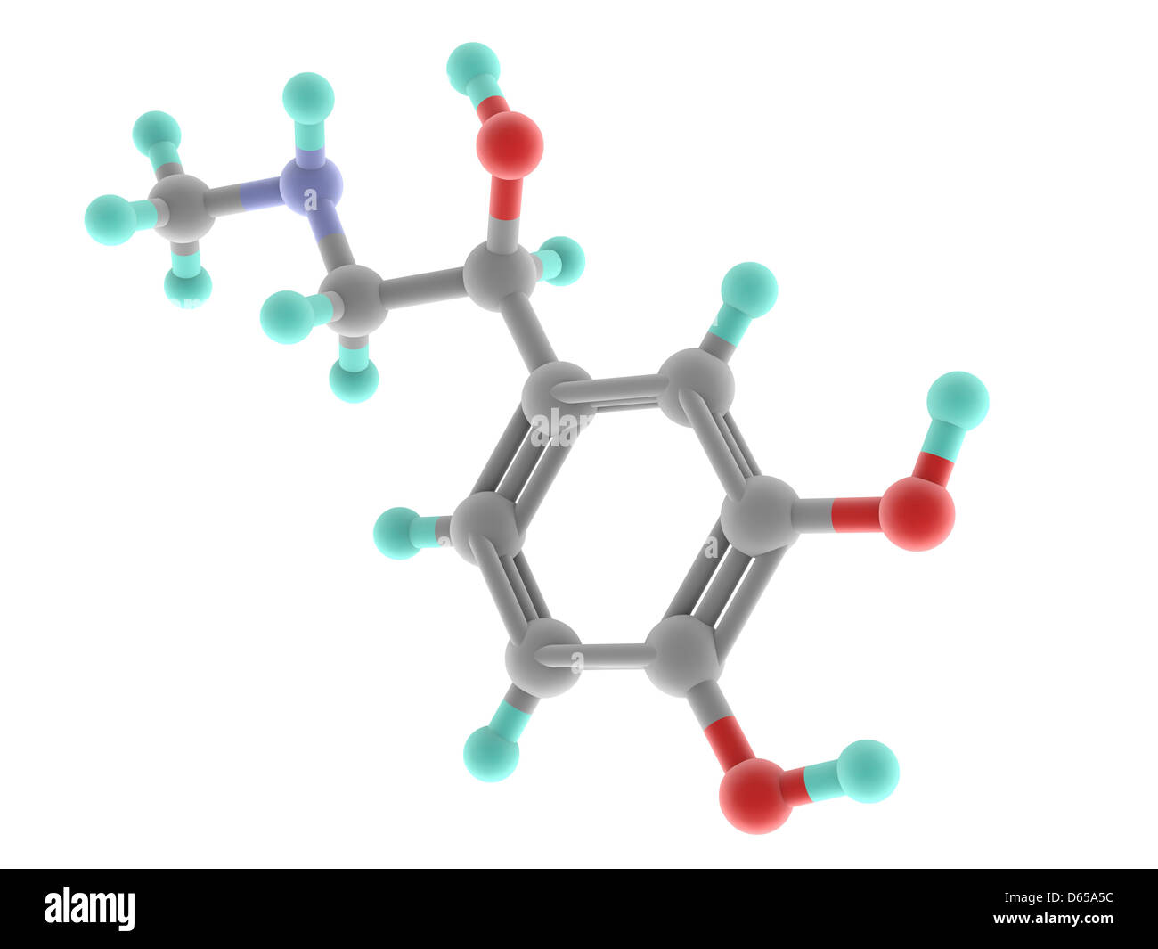 Adrenalina molecola di epinefrina Foto Stock