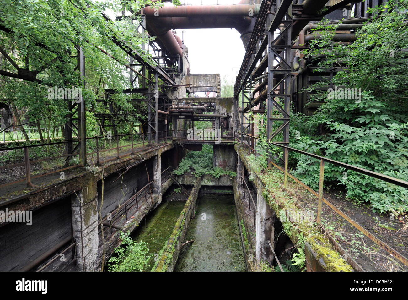 Il "paradiso" parte del patrimonio mondiale "Alte Voelklinger Huette' è raffigurato in Voelklingen, Germania, 20 giugno 2012. Questa parte è stata progettata dal tedesco-svizzero architetto del paesaggio Catherina Contessa Bernadotte af (di) Wiesborg. Foto: Becker&Bredel Foto Stock