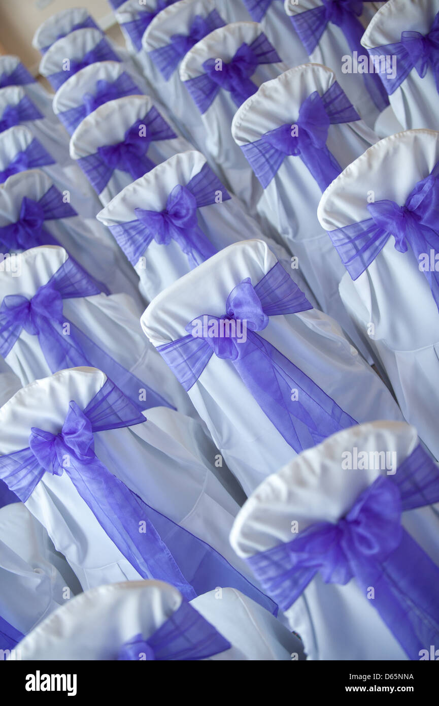 I dorsi sedie vestite di bianco con archetti viola, attende gli ospiti in una sala cerimonie Foto Stock