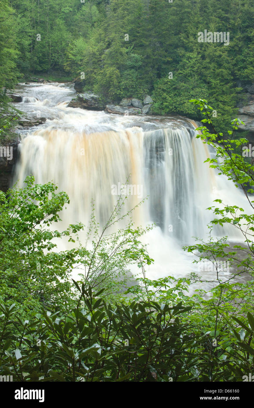 Cascate PRINCIPALI BLACKWATER FALLS State Park West Virginia STATI UNITI D'AMERICA Foto Stock