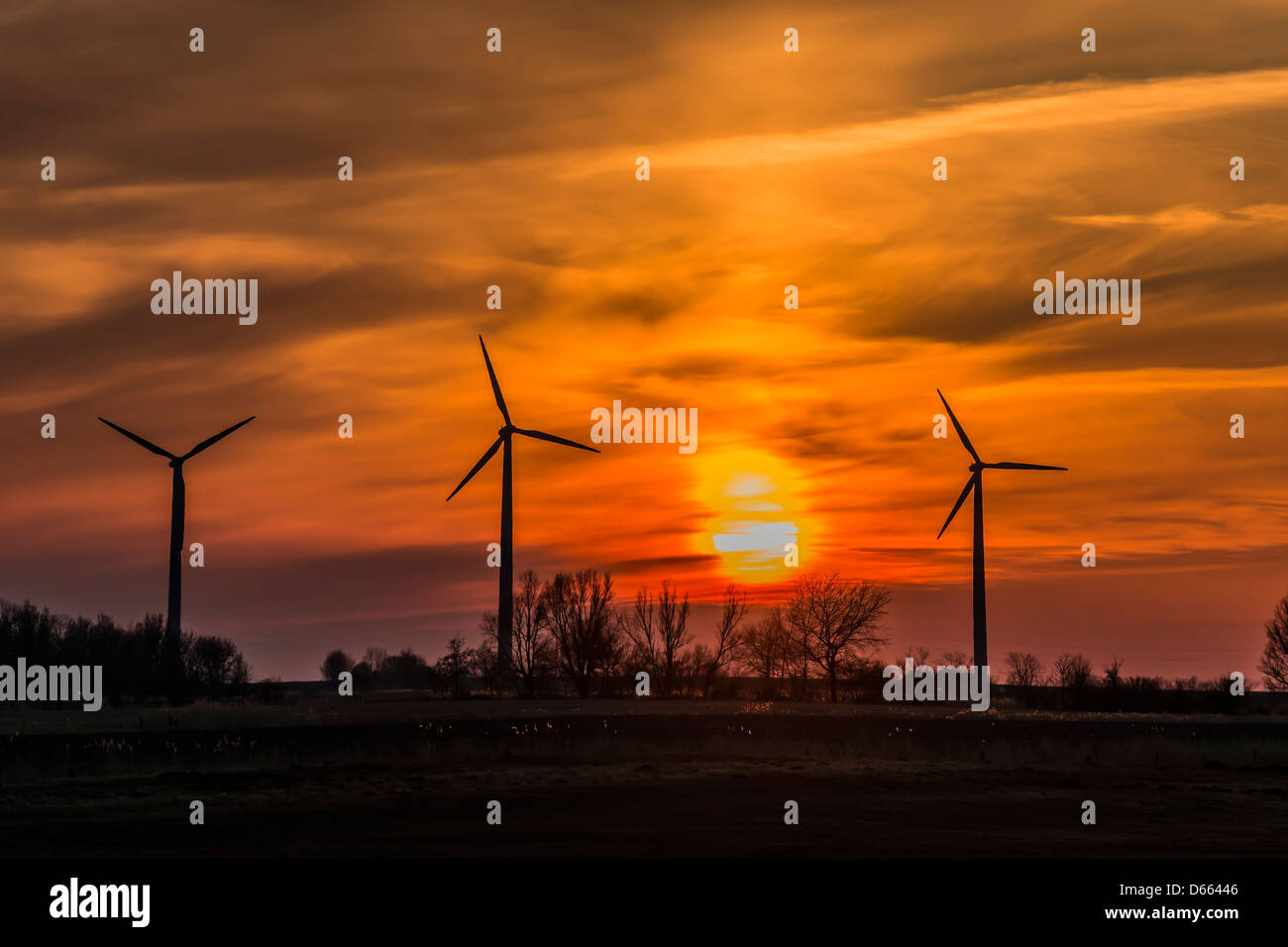 Tre mulini a vento del nord della Germania in serata con il tramonto del sole Foto Stock