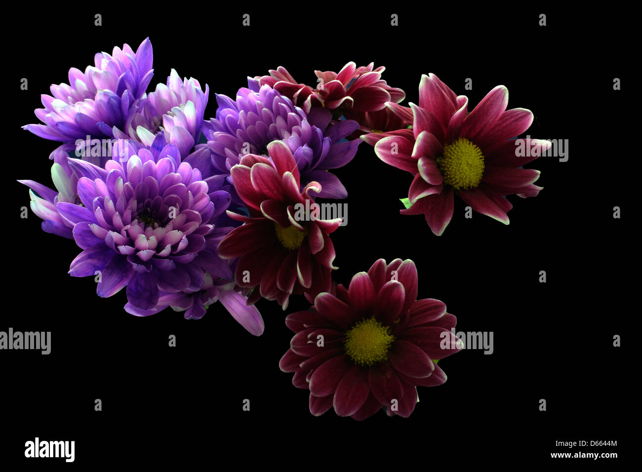 Mazzetto di viola e fiori malva Foto Stock