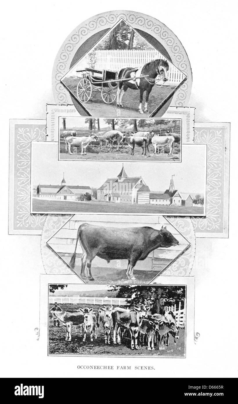 Uno schizzo del 1902 raffigurante varie scene della Carolina del Nord, tra cui la Occoneechee Farm. Questa immagine riflette la vita rurale e agricola dello stato alla fine del XX secolo. Foto Stock
