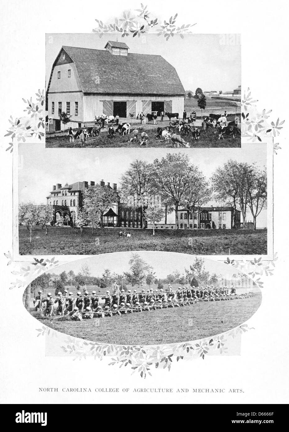 Un'illustrazione tratta da "A Sketch of North Carolina" (1902), con il North Carolina College of Agriculture and Mechanic Arts L'immagine evidenzia l'architettura dell'istituzione e il suo significato nello sviluppo educativo dello stato. Foto Stock