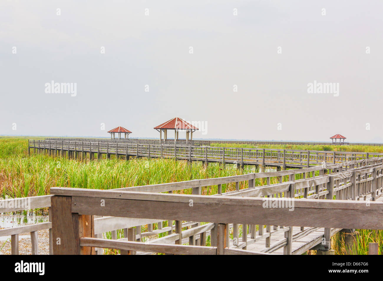 Ponte di legno a Sam-Roy-Yod Nazione park ,Prachuapkhirikhan provincia,Sud della Thailandia Foto Stock