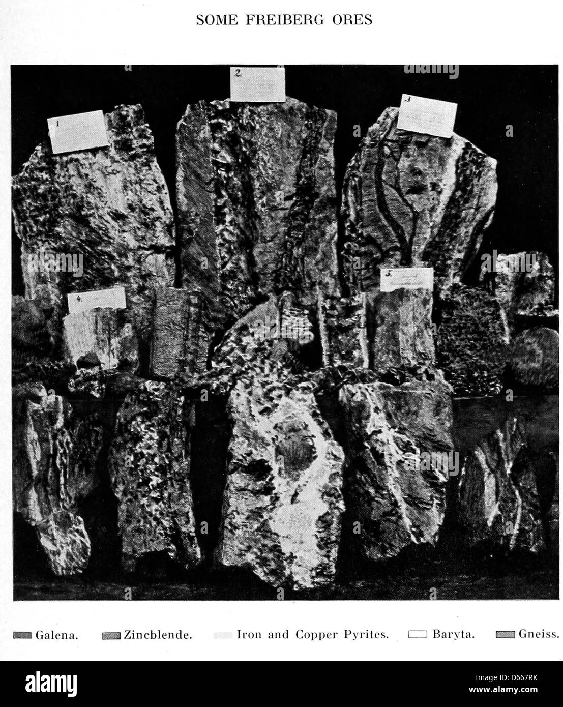 Questo album del 1920 cattura la bellezza della Sassonia, in particolare Freiberg vicino a Dresda, nota per i suoi ricchi depositi minerali. L’album contiene immagini dei minerali della regione, tra cui galena, gneiss, ferro, rame, e pirite, che riflettono il patrimonio minerario della zona. Foto Stock