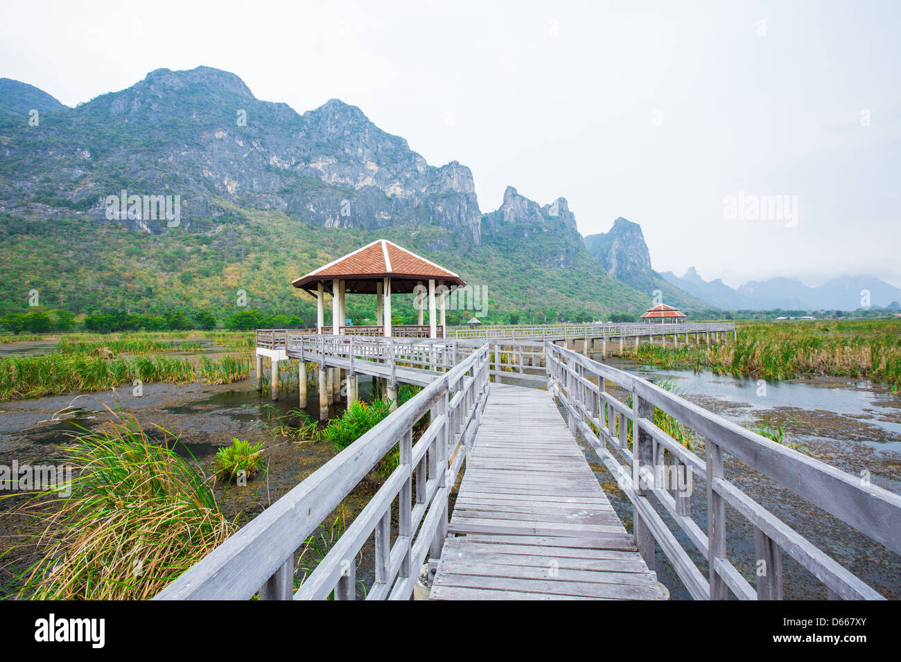 Ponte di legno a Sam-Roy-Yod Nazione park ,Prachuapkhirikhan provincia,Sud della Thailandia Foto Stock