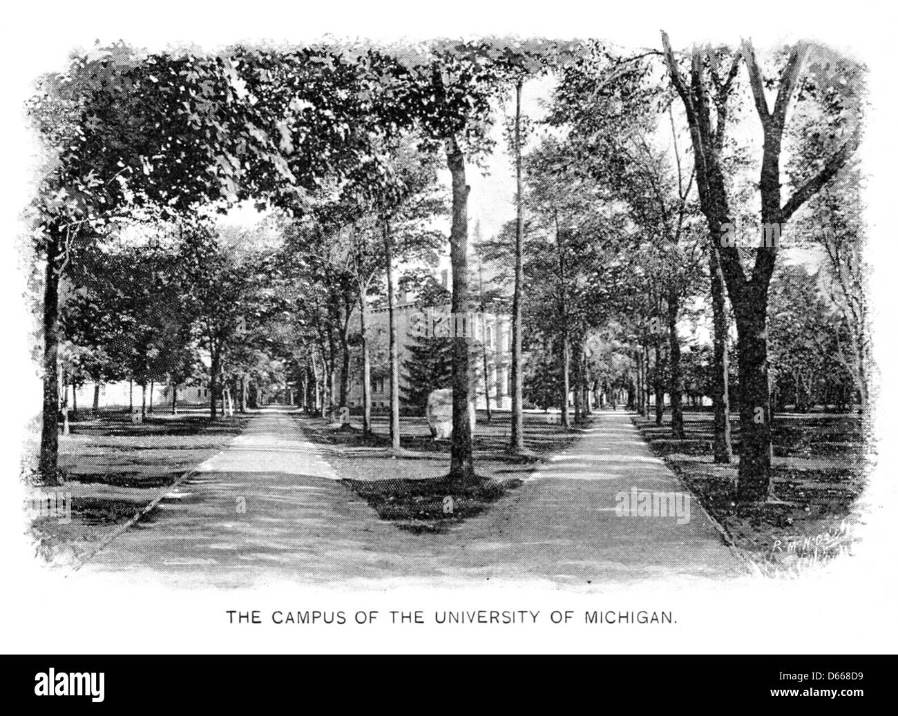 Una fotografia del 1895 del campus della University of Michigan, che mostra l'architettura del campus e il paesaggio all'aperto. L'immagine riflette l'ambiente accademico dell'università durante la fine del XIX secolo. Foto Stock