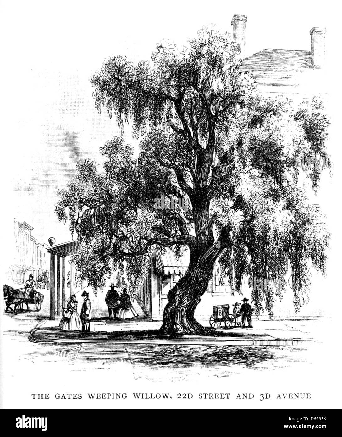 Un'illustrazione tratta da 'A Tour Around New York' (1893), raffigurante le porte e gli alberi di salice piangenti all'incrocio tra la 22nd Street e la 3rd Avenue a New York City. L'immagine cattura l'atmosfera di quest'area durante la fine del XIX secolo. Foto Stock