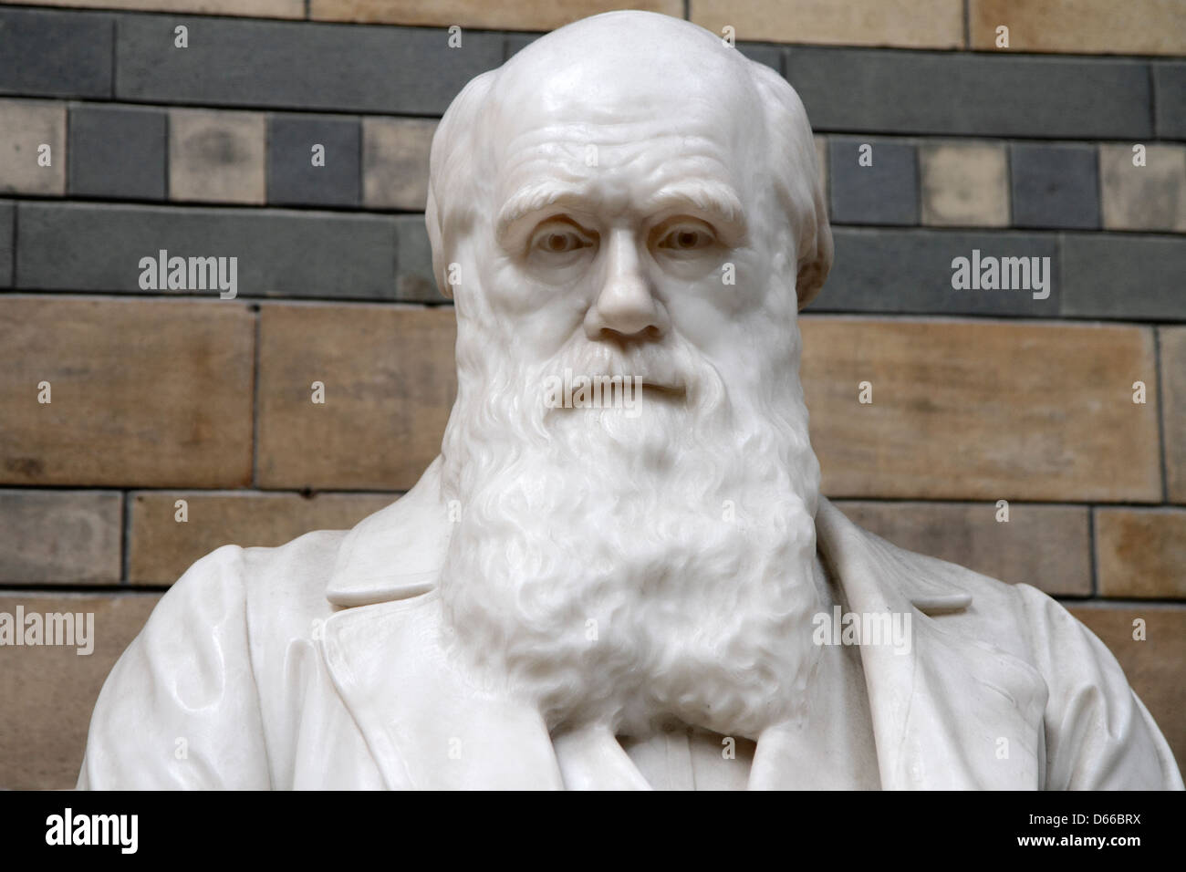 Charles Darwin statua, Museo di Storia Naturale di Londra, Regno Unito Foto Stock