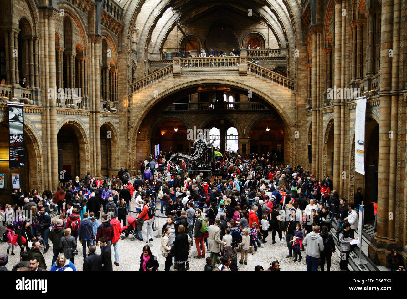I visitatori si affollano nella sala centrale del Museo di Storia Naturale di Londra, Regno Unito. Foto Stock