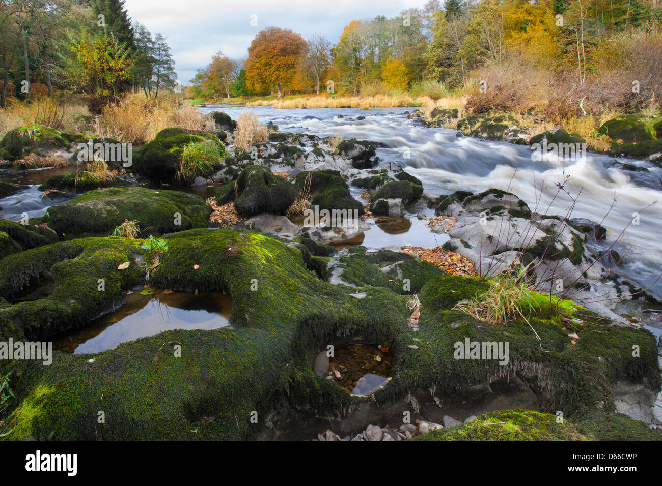 Vista a monte sul fiume Wye Foto Stock