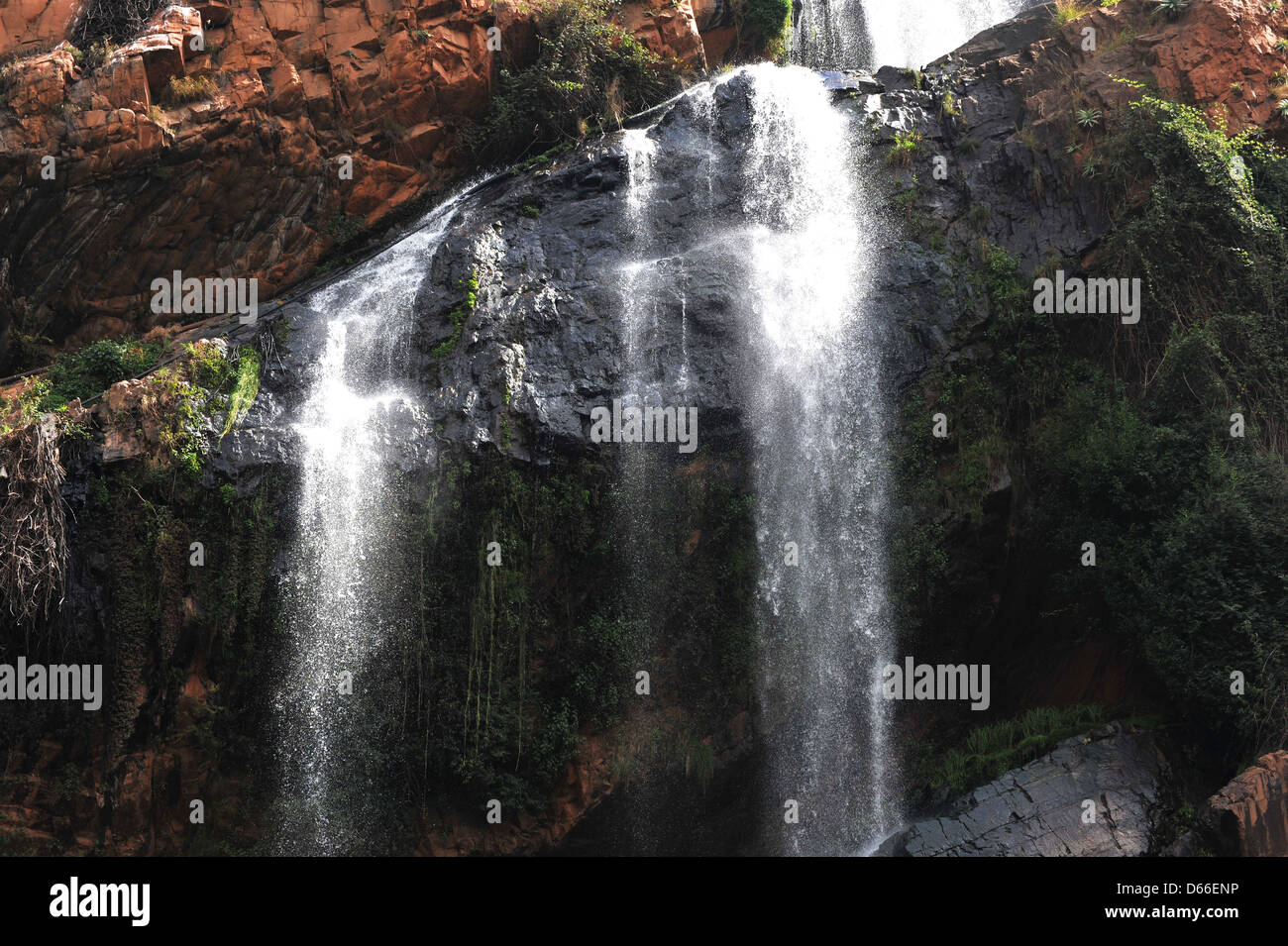 Un alto Walter cascata trovata all'interno di Walter Sisulu Giardini Botanici di Johannesburg. Foto Stock