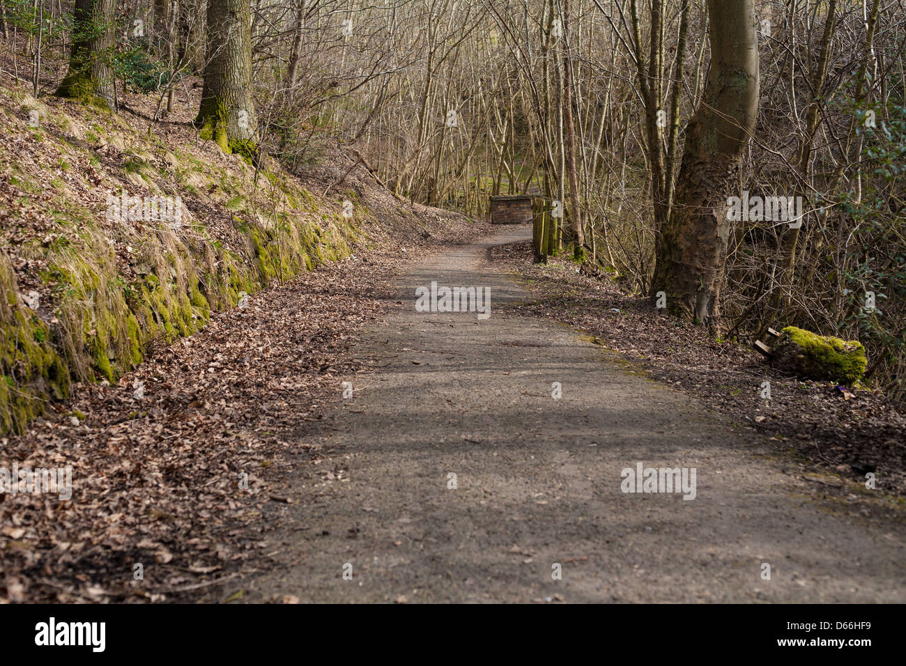Codice di paese. Foto Stock