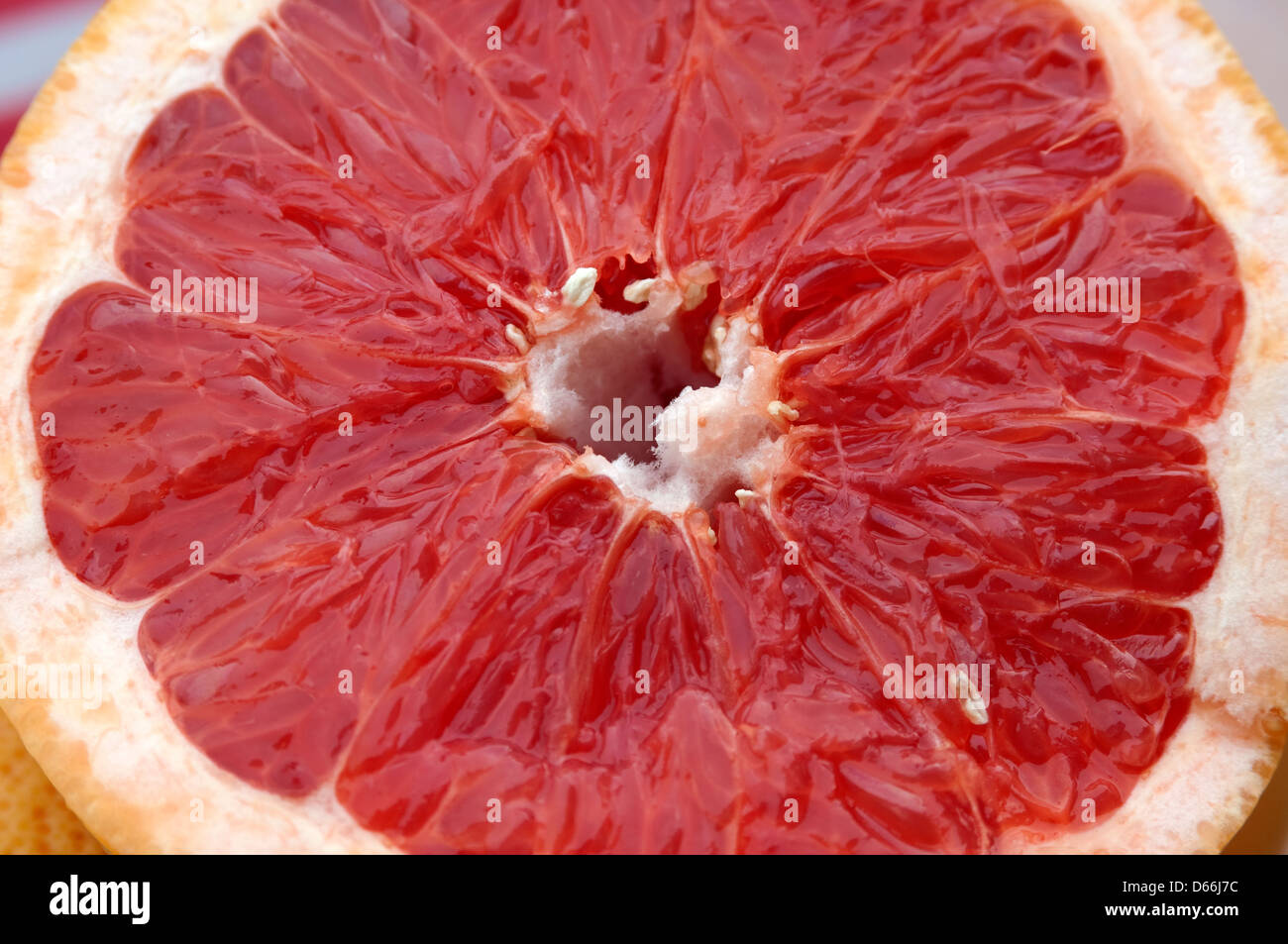 Close-up di pompelmo organico che mostra i segmenti Foto Stock