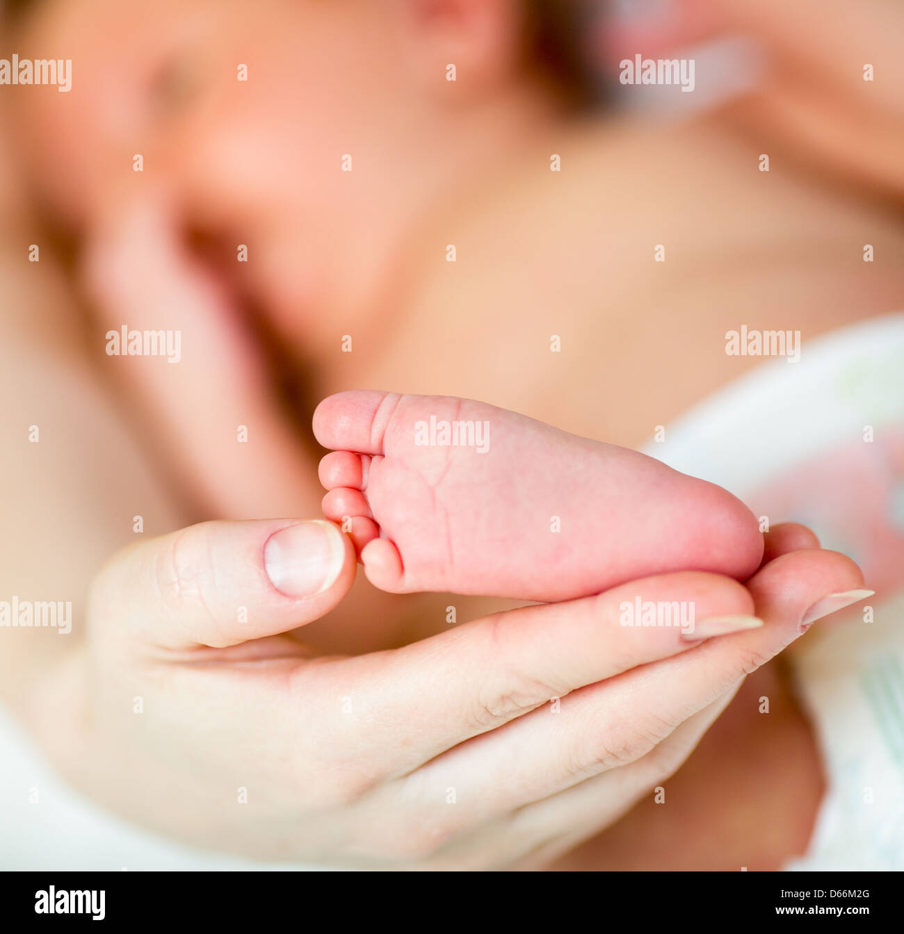 Madre della mano che tiene piccolo bimbo piede Foto Stock