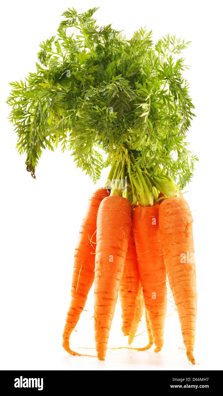 Le carote fresche mazzetto isolati su sfondo bianco. Verdure crude Foto Stock