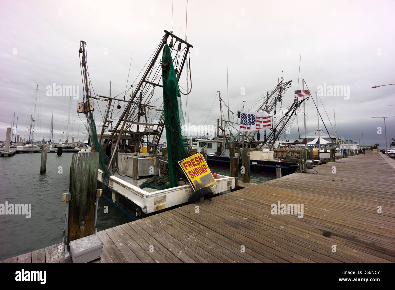 Gamberetti al dock in un giorno nuvoloso nel Corpus Christi, Texas, Stati Uniti d'America Foto Stock