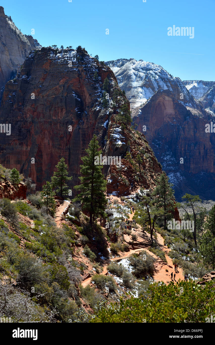 Angeli pista di atterraggio sulla parte superiore della cresta di arenaria. Parco Nazionale di Zion, Utah, Stati Uniti d'America. Foto Stock