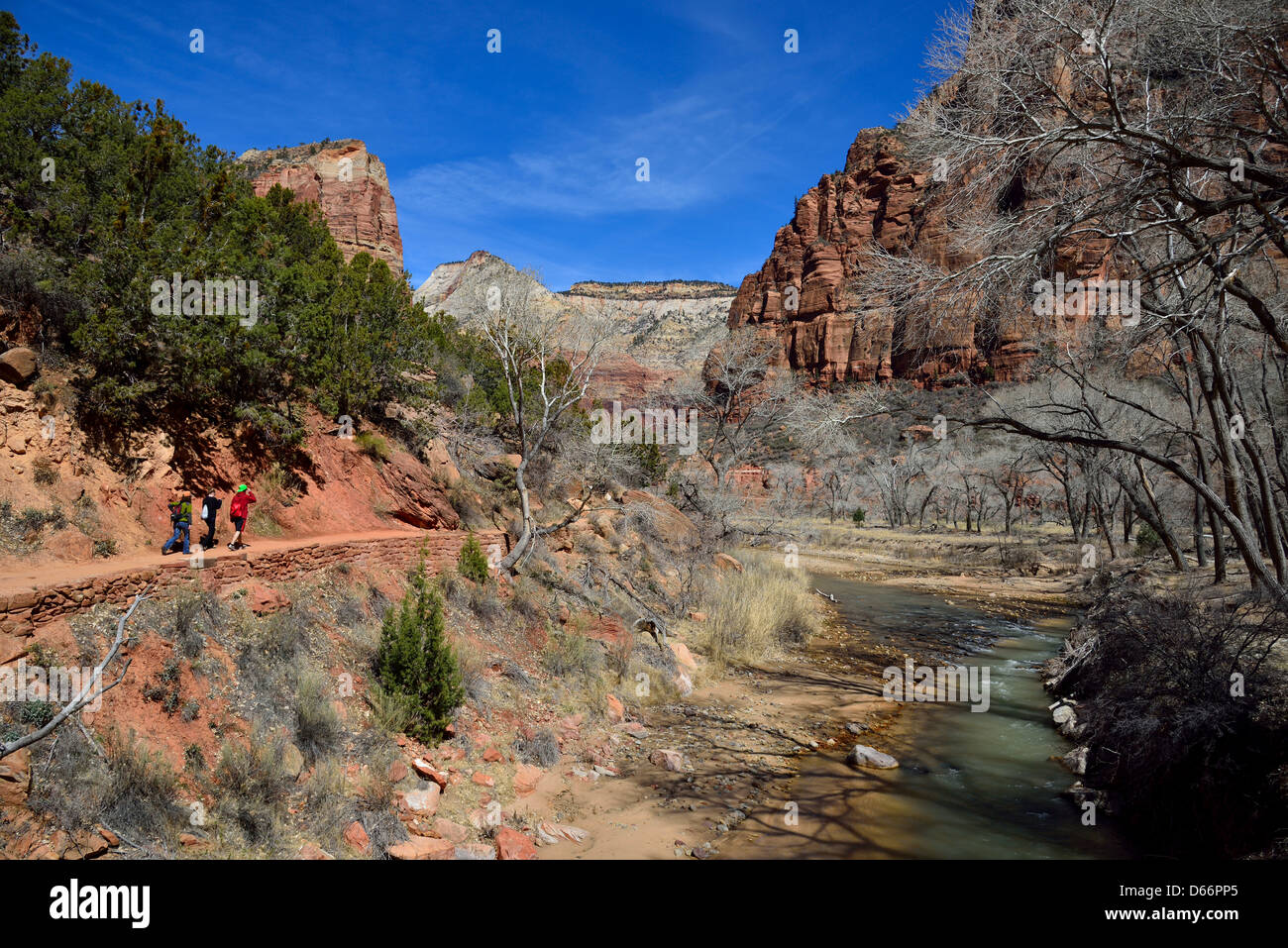 Gli escursionisti a piedi sul sentiero lungo il fiume vergine. Parco Nazionale di Zion, Utah, Stati Uniti d'America. Foto Stock