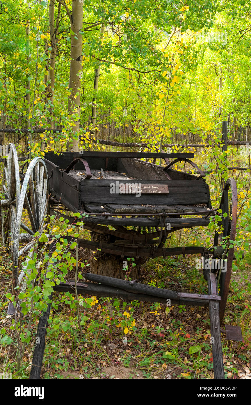 Buggy di fronte all edificio del museo, con fogliame di autunno, Vicksburg città fantasma, Sawatch montagne, Colorado. Foto Stock