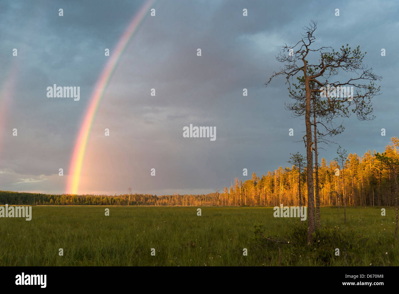 Rainbow su paesaggio finlandese, Finlandia Foto Stock