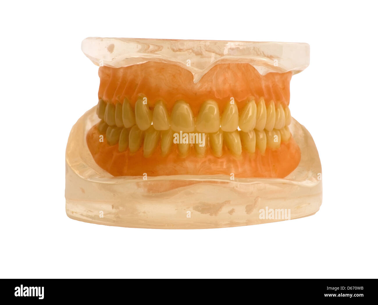 Dentiere isolato su uno sfondo bianco Foto Stock