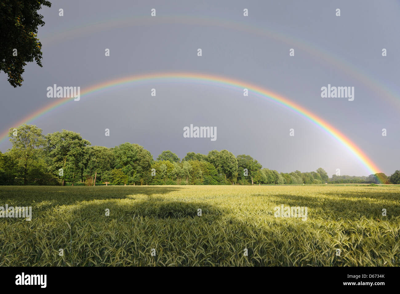 Rainbow oltre il paesaggio, ottenstein, holzminden distretto, Bassa Sassonia, Germania Foto Stock