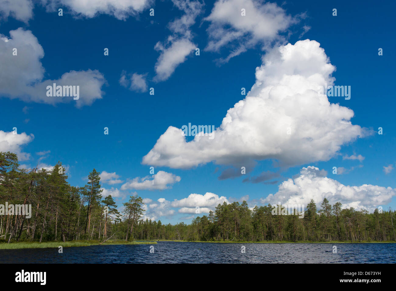 Paesaggio finlandese, Finlandia Foto Stock