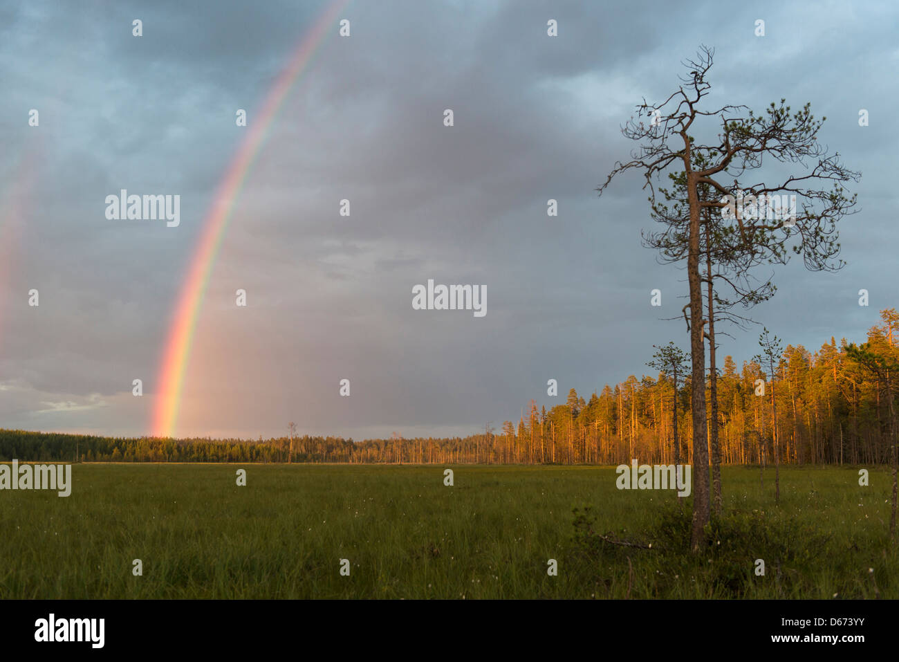 Rainbow su paesaggio finlandese, Finlandia Foto Stock