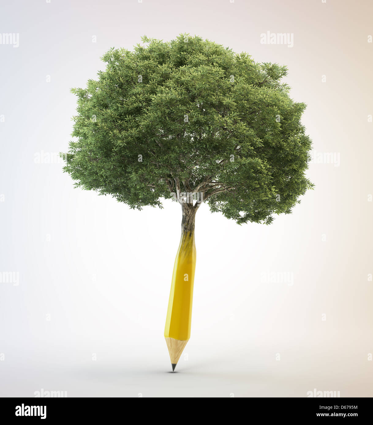 Albero che cresce al di fuori di un matita - il concetto di creatività Foto Stock