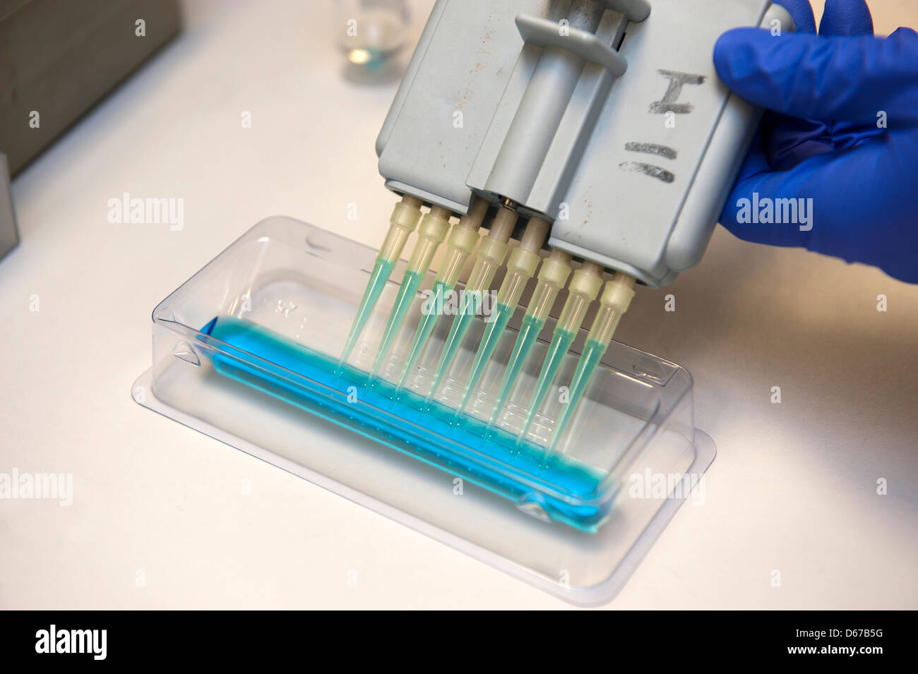 Uno studente di medicina che indossa guanti blu utilizzando una pipetta per campioni di prova. Foto Stock