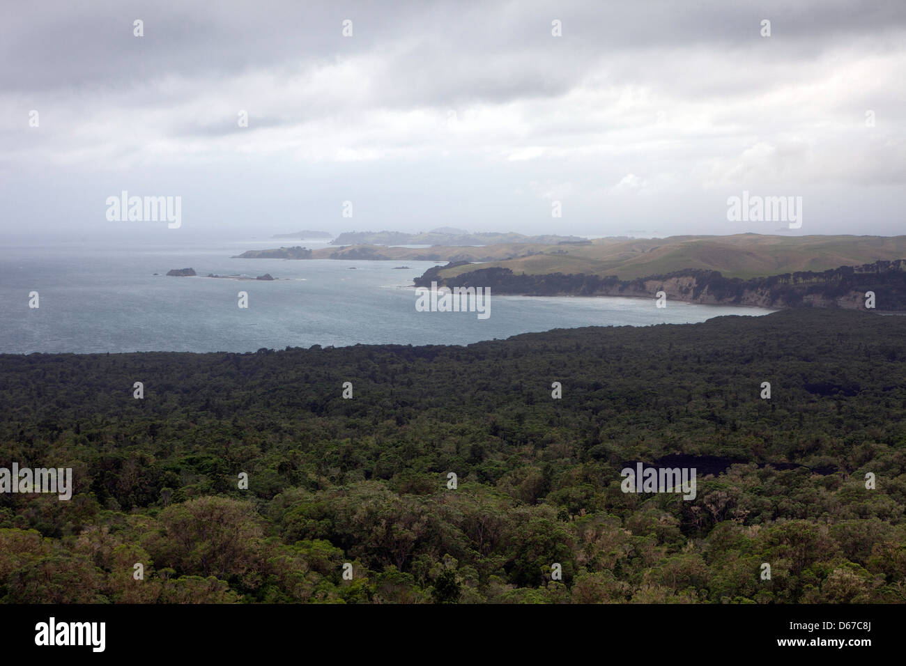 Una vista di Rangitoto isola dell'Isola del nord della Nuova Zelanda Foto Stock