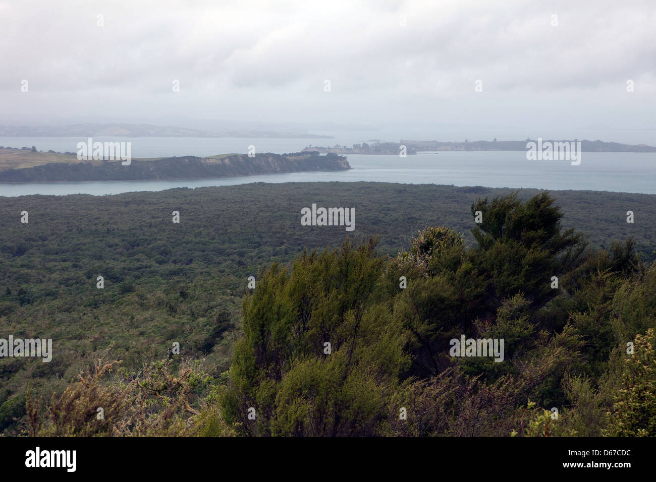 Una vista di Rangitoto isola dell'Isola del nord della Nuova Zelanda Foto Stock