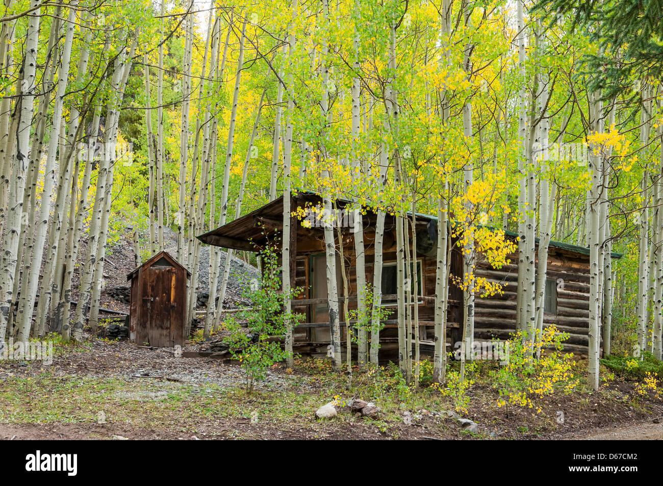 Cabina e fogliame di autunno a Sandy Hook di Ghost Town a nord della città Ohio, Gunnison County, Colorado. Foto Stock