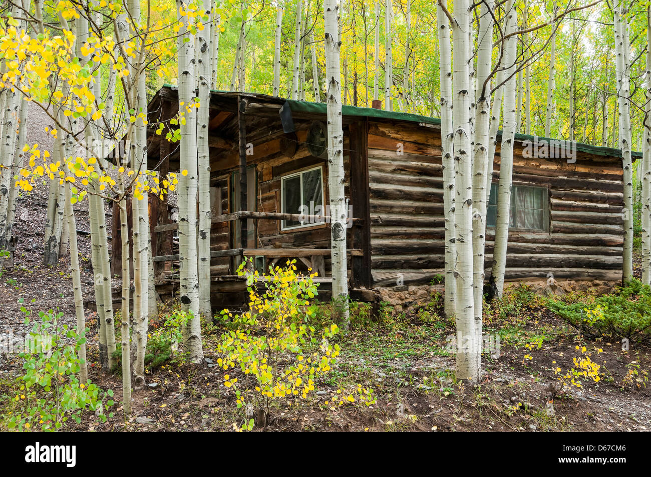 Cabina e fogliame di autunno a Sandy Hook di Ghost Town a nord della città Ohio, Gunnison County, Colorado. Foto Stock