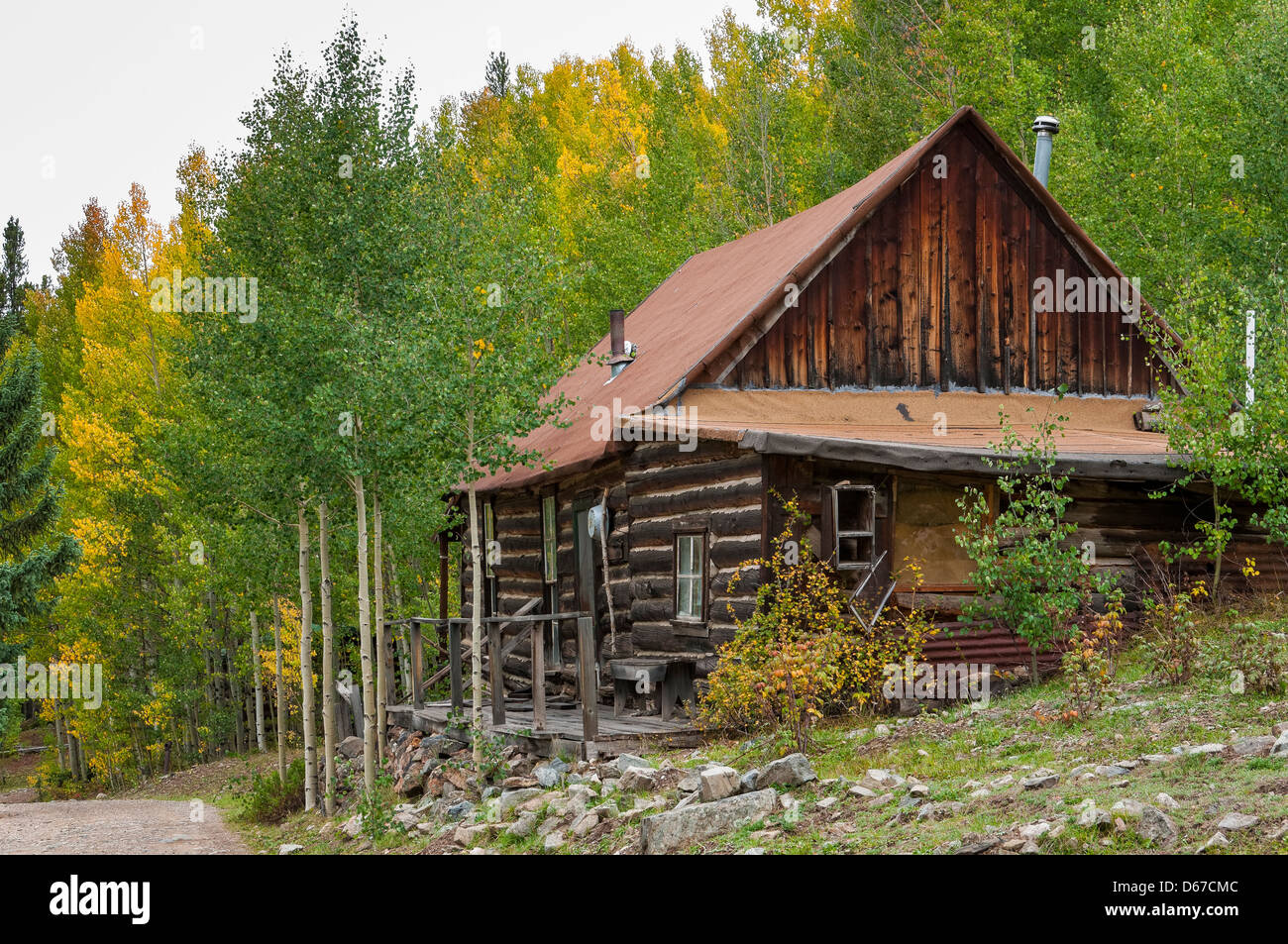 Cabina e fogliame di autunno a Sandy Hook di Ghost Town a nord della città Ohio, Gunnison County, Colorado. Foto Stock