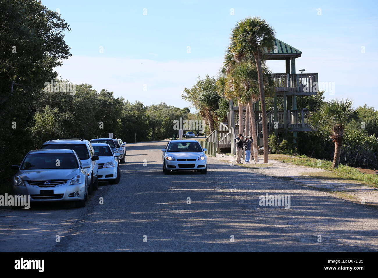 J. N. Ding Darling Wildlife Refuge su Sanibel Island, Florida, Stati Uniti d'America Foto Stock