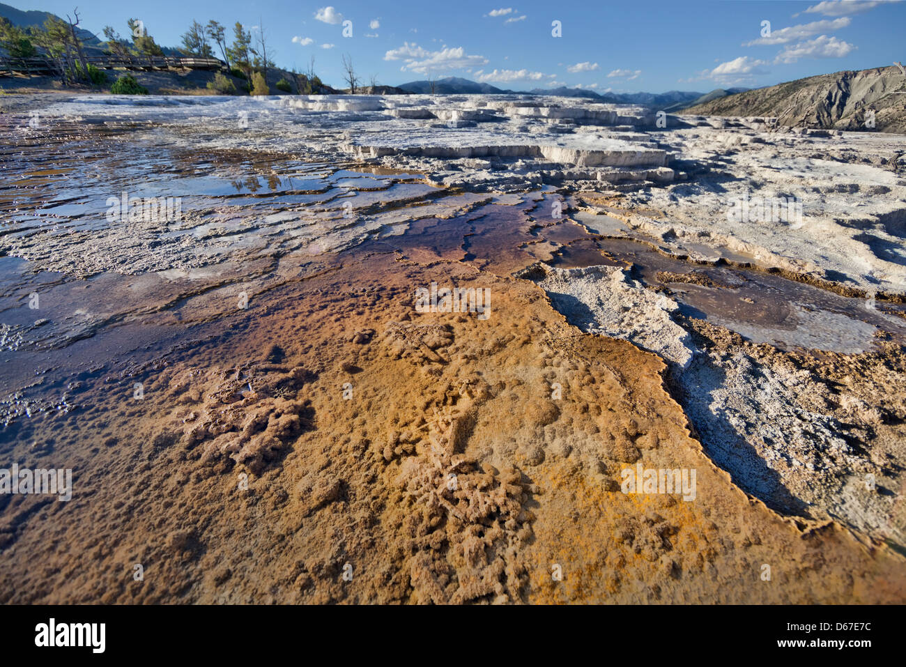 Scorre le piscine di acqua termale calda sulla terrazza principale di Mammoth molle nel Parco Nazionale di Yellowstone. Foto Stock