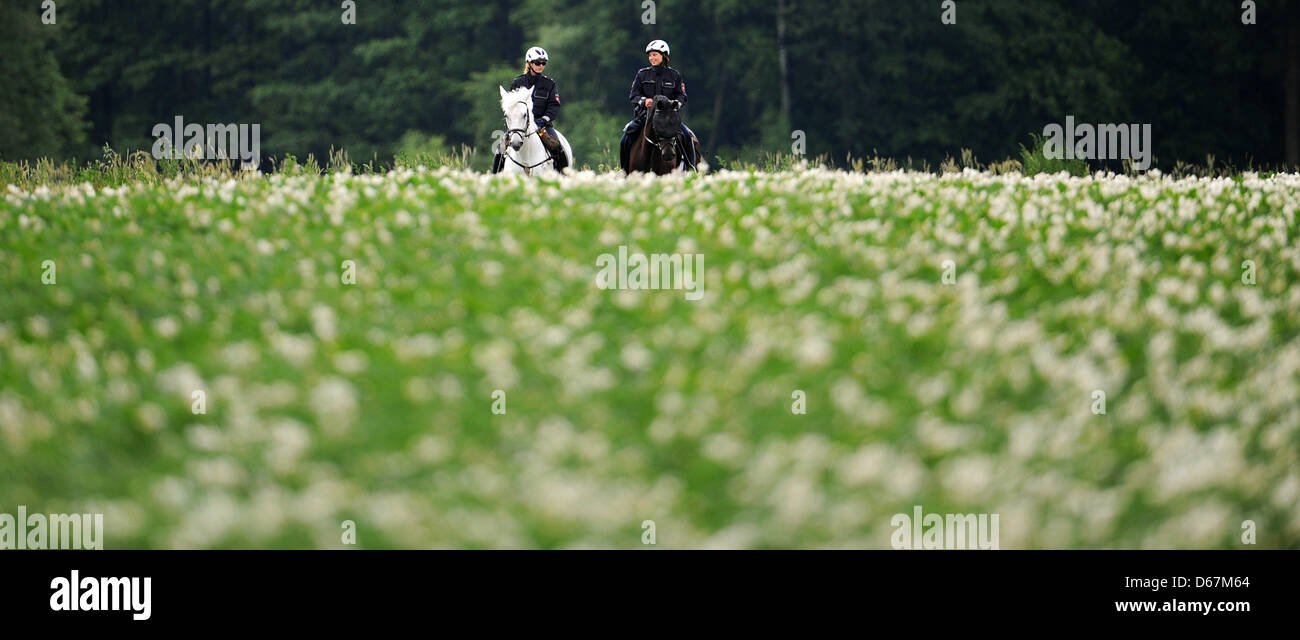 Due ufficiali della polizia ride passato un campo potatoe durante una dimostrazione contro l' estremismo di destra in Eschede, Germania, 23 giugno 2012. La manifestazione organizzata dalla rete sud Heath invita ad una sosta di neo-nazi riunioni di Eschede. Ancora una volta il neo-nazisti sono detto di avere incontrato nella fattoria di Eschede per celebrare la festa di mezza estate. Foto: JULIAN STRATENSCHULTE Foto Stock