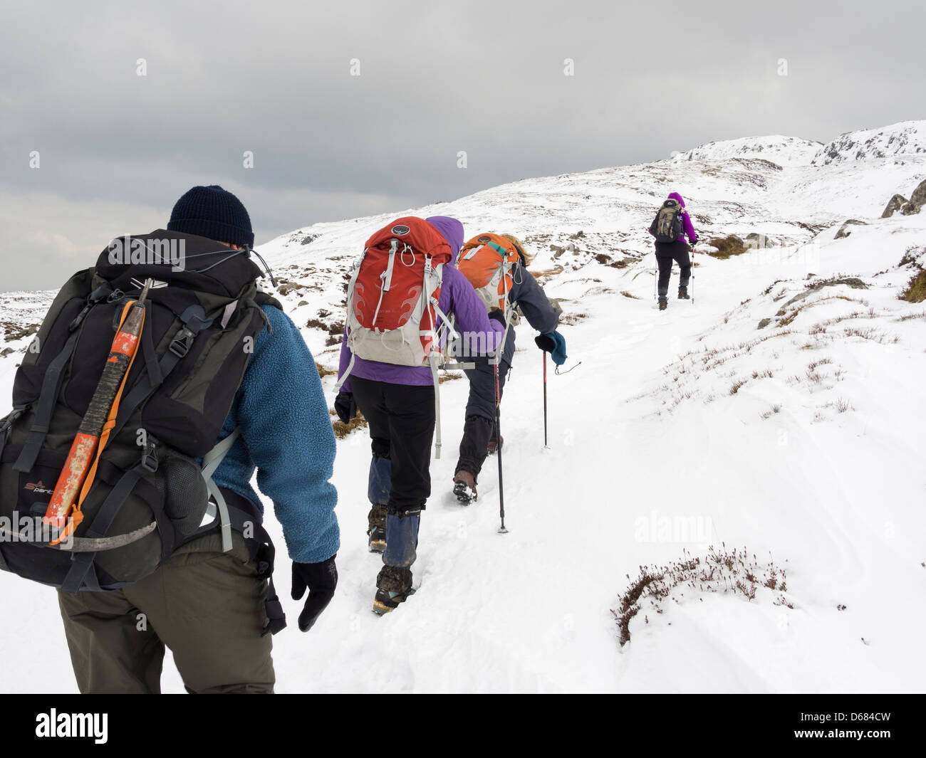 Gruppo di escursionisti alpinismo con zaini e ingranaggio di inverno escursioni fino Tal-y-Ventola nella neve profonda nelle montagne di Snowdonia, Galles del Nord, Regno Unito Foto Stock