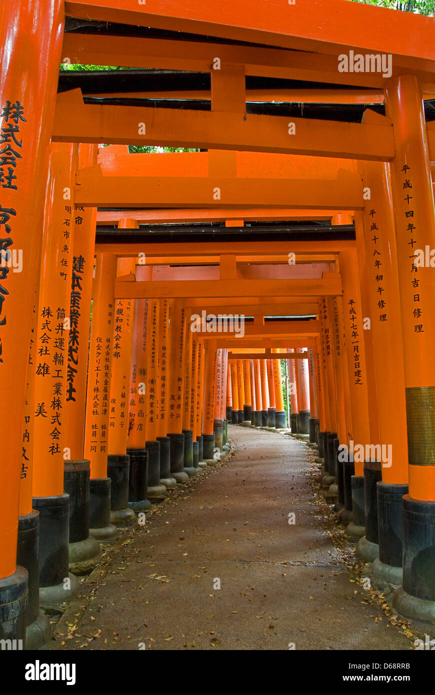Torii A Fushimi-inari Taisha, Kyoto, Giappone Foto Stock