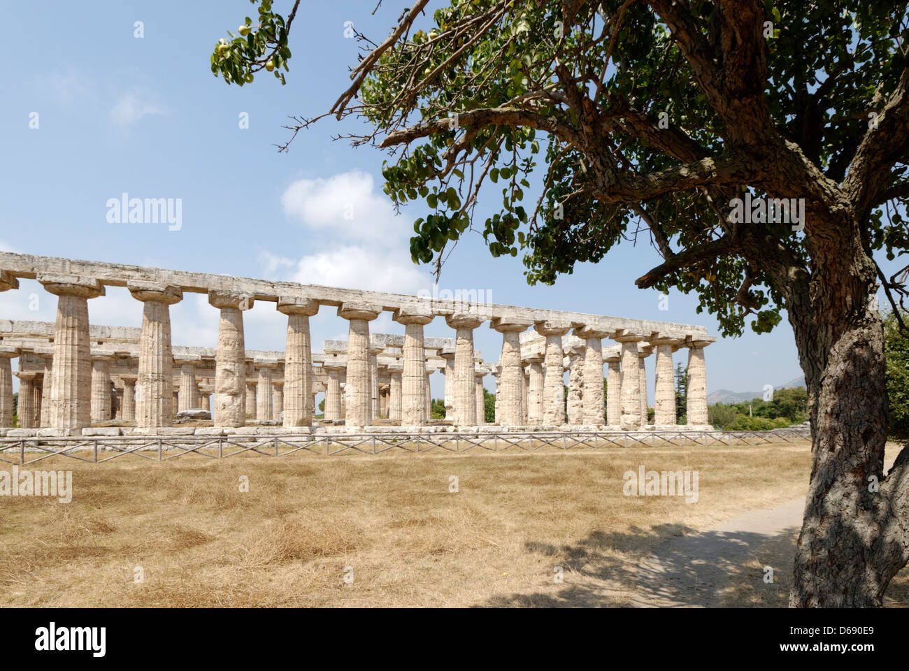 Paestum. L'Italia. Il lato sud del tempio di Hera (o la Basilica) situato nel sud del santuario della città antica. Foto Stock