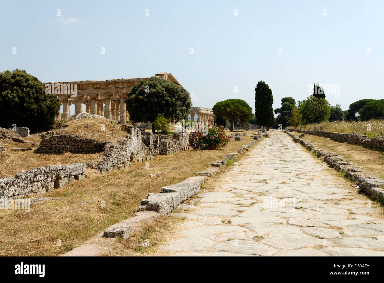 Paestum.Italia. La monumentale strada asfaltata Via Sacra o via sacra che originariamente era rivestita con colonnato portici Foto Stock