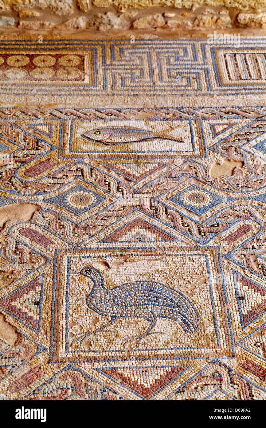 Cipro - Mosaico presso la casa di Eustolios a Kourion sito archeologico Foto Stock