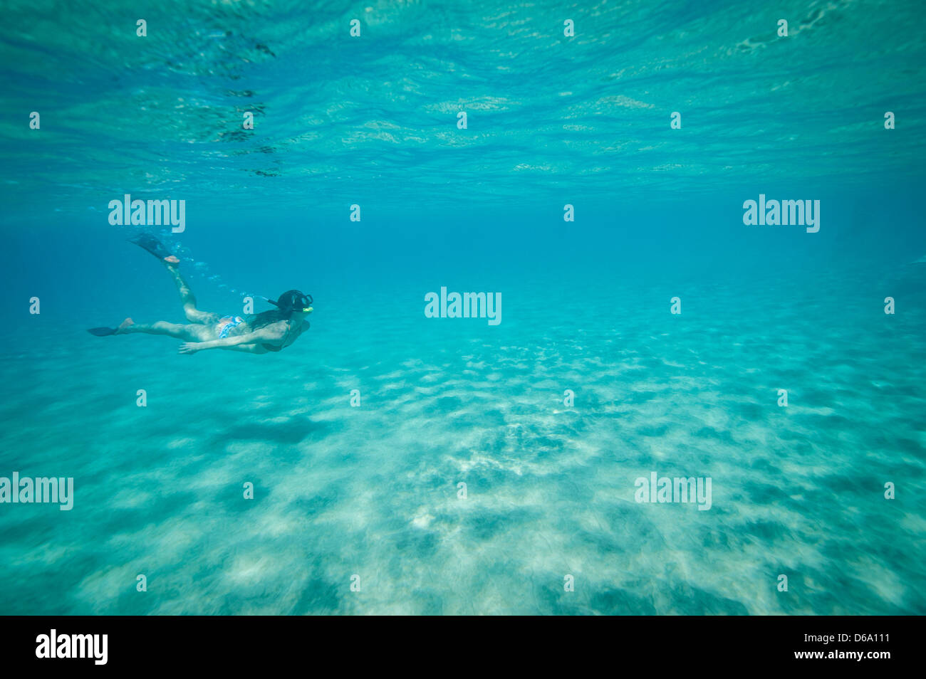 Snorkeler nuoto sott'acqua Foto Stock